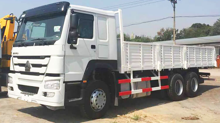 Used 6x4 Howo Cargo Lorry Truck for Sale