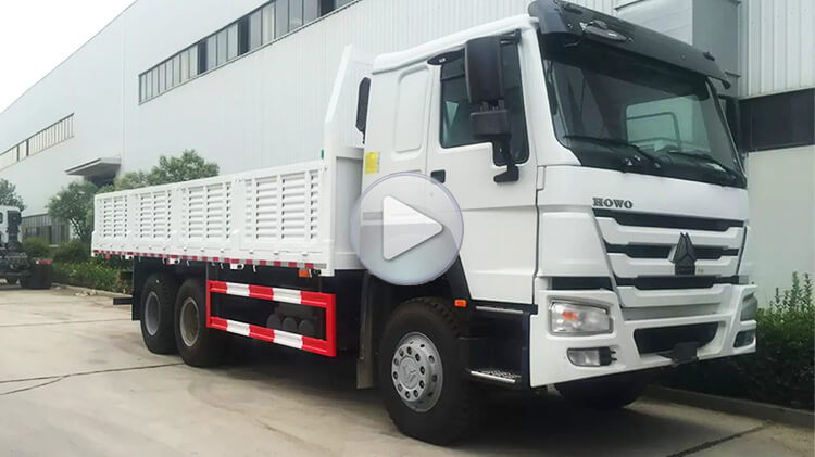 Used 6x4 Howo Cargo Lorry Truck for Sale