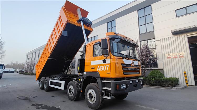 Shacman F3000 8x4 12 Wheeler Dump Truck for Sale In Tanzania