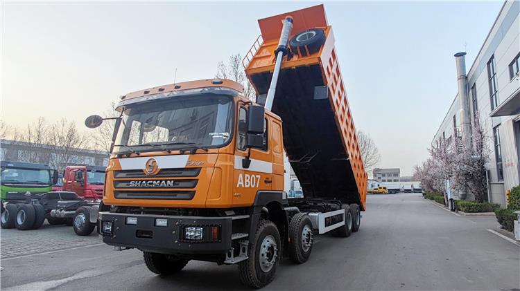 Shacman F3000 8x4 12 Wheeler Dump Truck for Sale In Tanzania