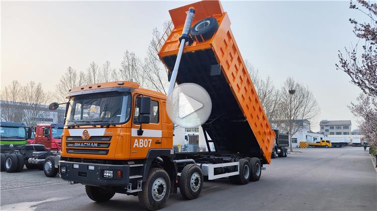 Shacman F3000 8x4 12 Wheeler Dump Truck for Sale In Tanzania