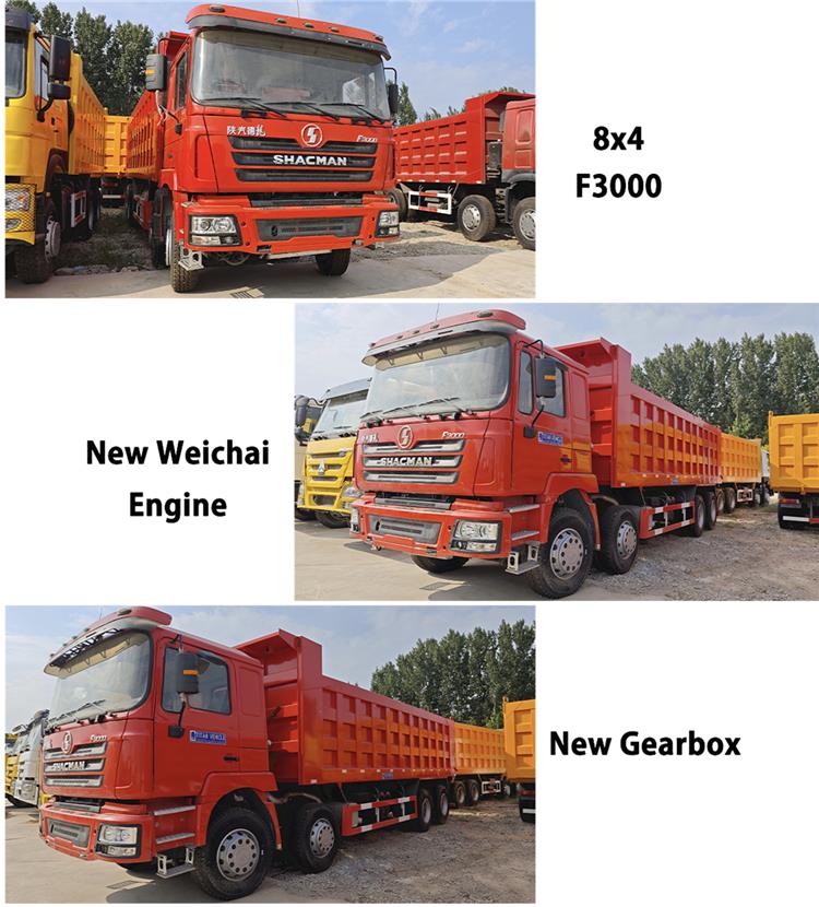 Used Shacman F3000 Tipper Truck SX3318DR366TL for Sale In Tanzania